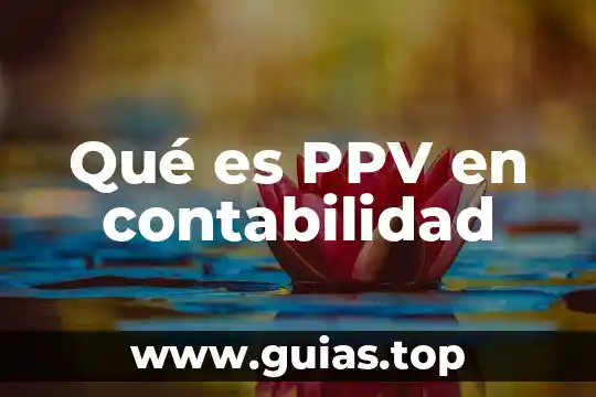 Que es nivel en contabilidad 6 Qué es PPV en contabilidad