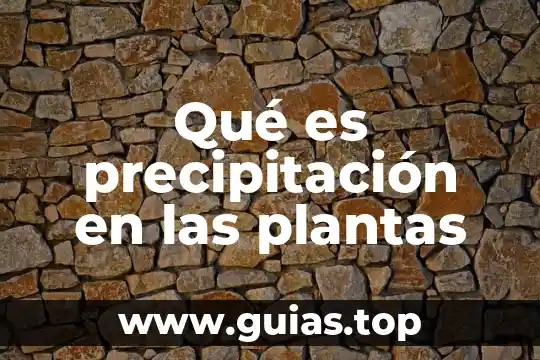 Qué es precipitación química del agua 3 Qué es precipitación en las plantas