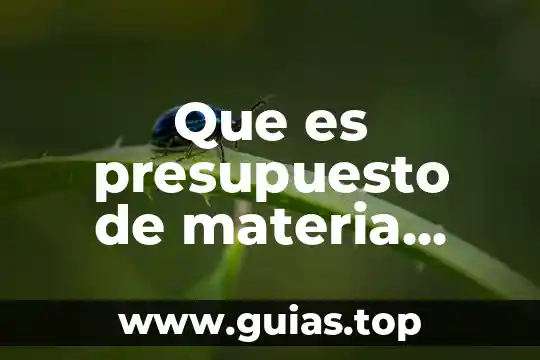 Qué es fletes sobre compras de materia prima en contabilidad 6 Que es presupuesto de materia prima