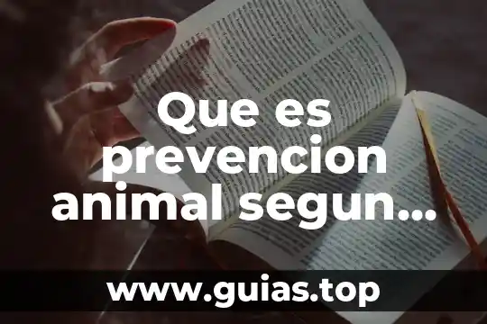 Que es el alcholismo segun la onu 3 Que es prevencion animal segun la onu