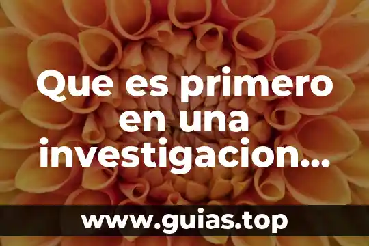 Que es investigacion de mercado concepto 7 Que es primero en una investigacion cientifica