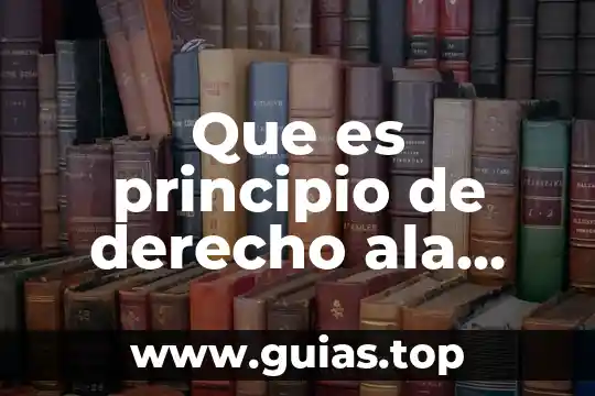Qué es un principio en un documento 4 Que es principio de derecho ala diferencia