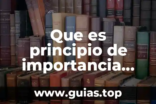 Para que sirve y para que es el ambiente virtual 4 Que es principio de importancia relativa