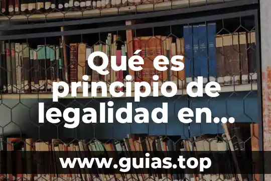 Qué es un principio en un documento 3 Qué es principio de legalidad en derecho