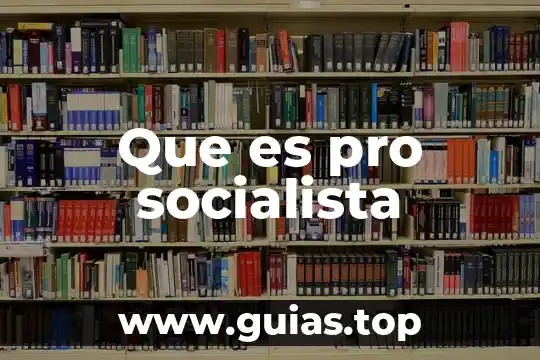 Principio de pro persona que es 5 Que es pro socialista