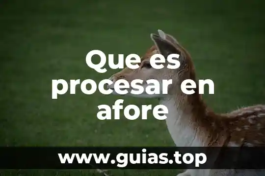 Que es figura publica en instagram 6 Que es procesar en afore
