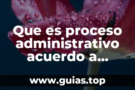 Que es el principio de unidad agustin 4 Que es proceso administrativo acuerdo a agustin reyes ponce