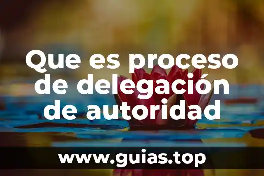 Que es proceso de delegación de autoridad