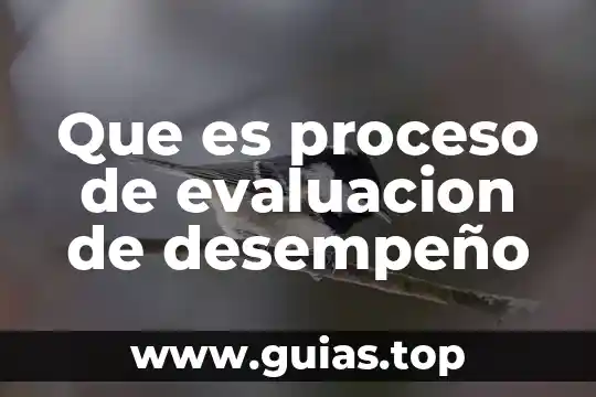 Que es examen de evaluacion del desempeño laboral 6 Que es proceso de evaluacion de desempeño