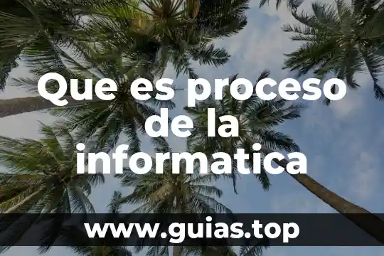 Qué es contra fuego en informática 3 Que es proceso de la informatica