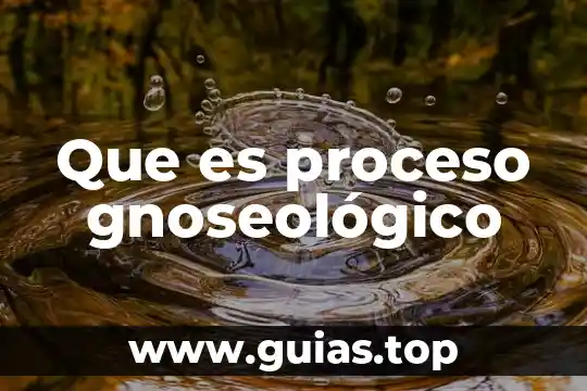 Ejemplos de lo que es la justicia 5 Que es proceso gnoseológico
