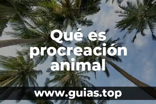 Que es un lucio animal 7 Qué es procreación animal