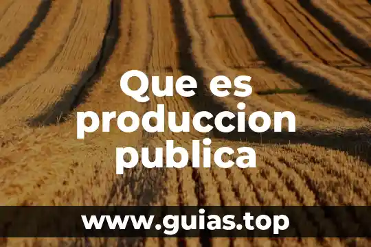 Que es un proyecto de produccion 4 Que es produccion publica