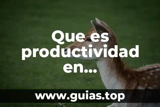 Que es una fuente de financiamiento definición de autores 5 Que es productividad en administracion segun autores