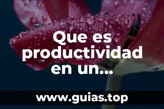 Que es un gerente de servicios de un restaurante 3 Que es productividad en un restaurante