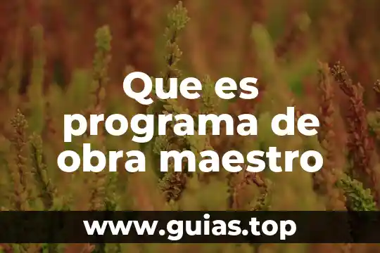 Que es ser un buen maestro 7 Que es programa de obra maestro