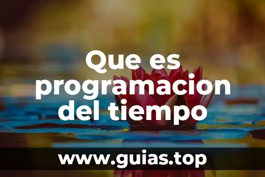 Que es el tiempo pasado compuesto 5 Que es programacion del tiempo