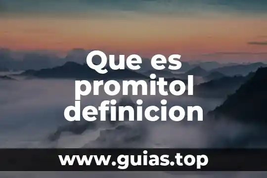 Qué es un antivirus definición y ejemplos 4 Que es promitol definicion