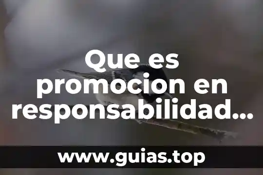 Que es la responsabilidad social universitaria concepto 5 Que es promocion en responsabilidad social consumo responsable