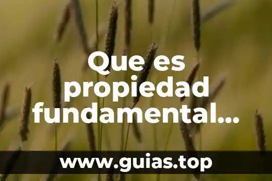 Qué es congruencia en matemáticas símbolo 3 Que es propiedad fundamental matematicas