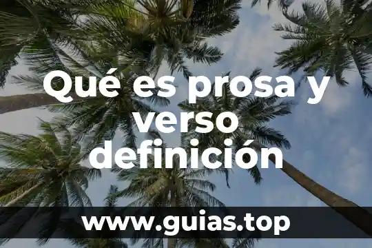 Qué es definición del problema en programación 6 Qué es prosa y verso definición