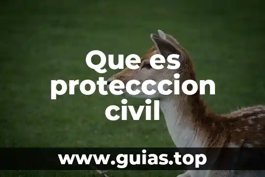 Que es el perjuicio en derecho civil 3 Que es protecccion civil