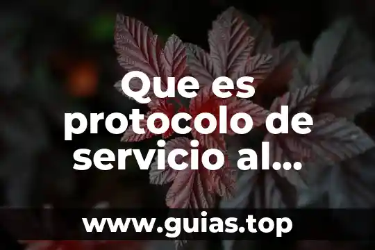 Qué es el protocolo de internet 6 Que es protocolo de servicio al cliente