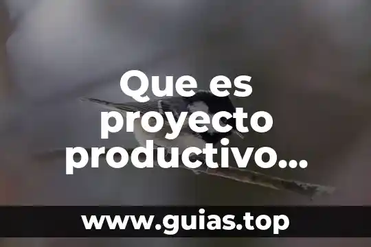 Que es un proceso tecnico artesanal concepto y definicion 4 Que es proyecto productivo artesanal