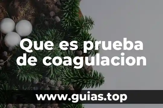 Qué es un enlace insaturado en química definición 8 Que es prueba de coagulacion