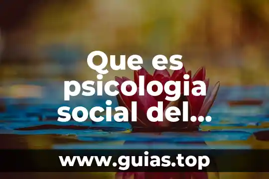 Que es un ser social individual 5 Que es psicologia social del derecho