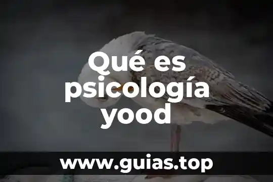 Que es funcion diferenciable 4 Qué es psicología yood