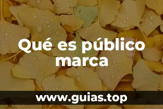 Marca rtw que es 4 Qué es público marca