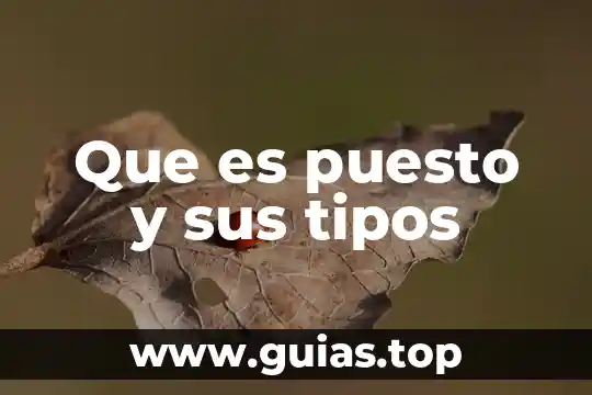 Qué es la familia y tipos de familia explicación 4 Que es puesto y sus tipos