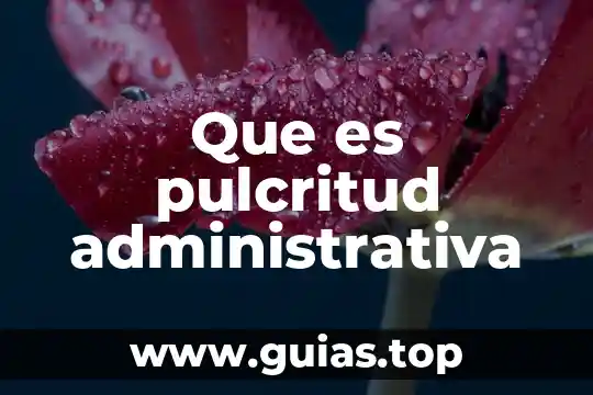Concepto de que es la informática 3 Que es pulcritud administrativa