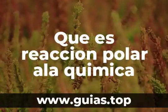 Que es mas polar el agua o el metanol 4 Que es reaccion polar ala quimica