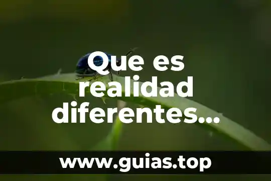 Que es una evaluación autentica concepto por autores 3 Que es realidad diferentes autores