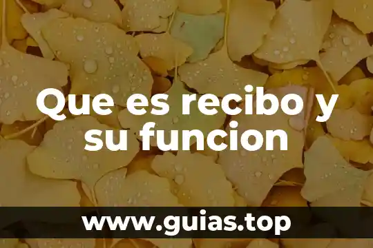 Que es la funcion expresiva y sintomatica 4 Que es recibo y su funcion