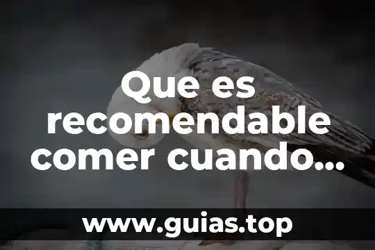 Que es recomendable comer cuando estas enfermo del estomago 3 Que es recomendable comer cuando se tiene anemia