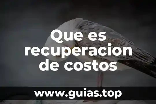 Que es recursos de costos 7 Que es recuperacion de costos