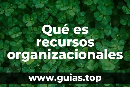 Que es la administracion tipos de recursos 4 Qué es recursos organizacionales