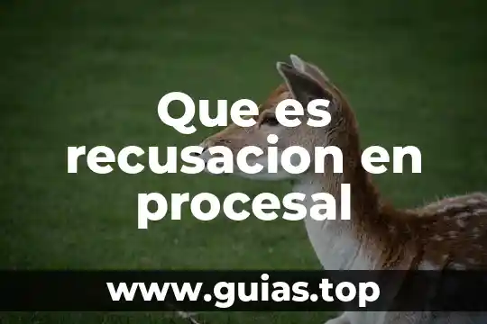 Que es el principio de inmediatez procesal en materia laboral 4 Que es recusacion en procesal