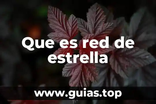 Que es una red y 7 Que es red de estrella