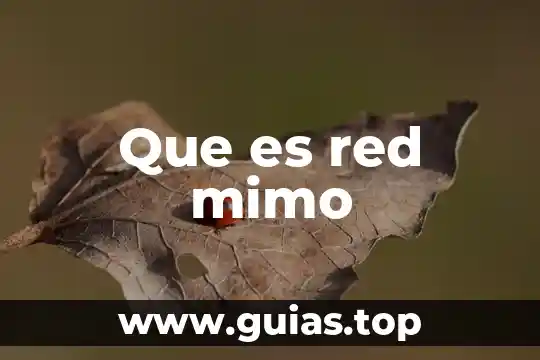 Que es red medical 3 Que es red mimo