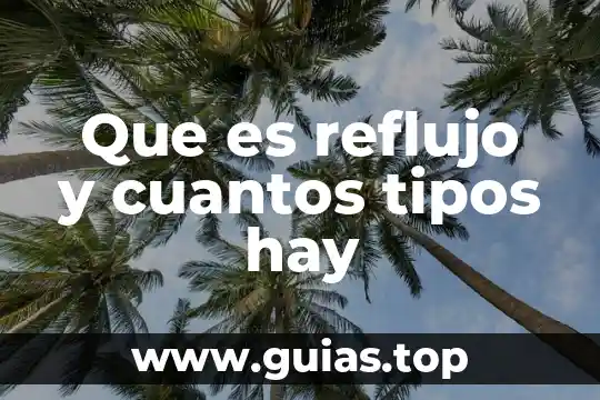 Que es un toroide tipos 5 Que es reflujo y cuantos tipos hay