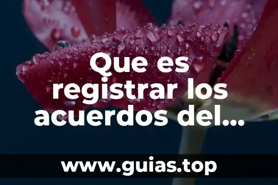 Qué es Alternativas y Acuerdos Definición 4 Que es registrar los acuerdos del cte