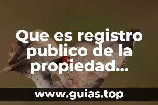 Registro de agua que es 6 Que es registro publico de la propiedad tlaxcala codigonfederal
