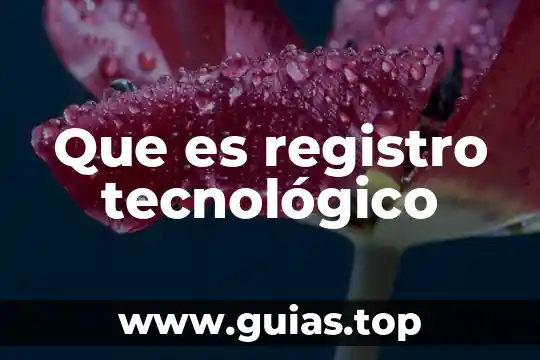 Qué es una ficha de registro ejemplos 8 Que es registro tecnológico