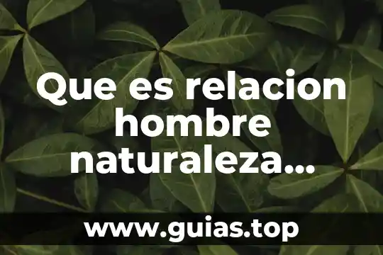 Qué es la axiología y su relación con la ética 5 Que es relacion hombre naturaleza ejemplos