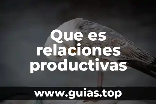 Que es relaciones productivas