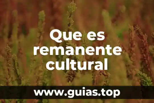 Qué es dinestidad cultural 5 Que es remanente cultural
